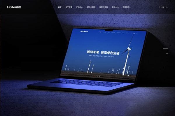 網(wǎng)站建設(shè)